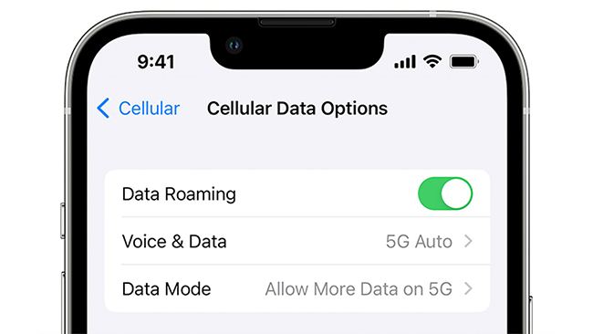 cellular data options