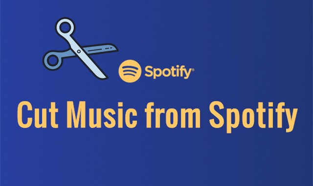Top Tips To Cut Music From Spotify