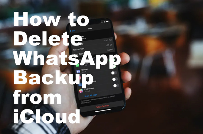 delete whatsapp backup from icloud