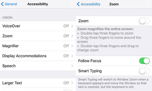 disable zoom feature