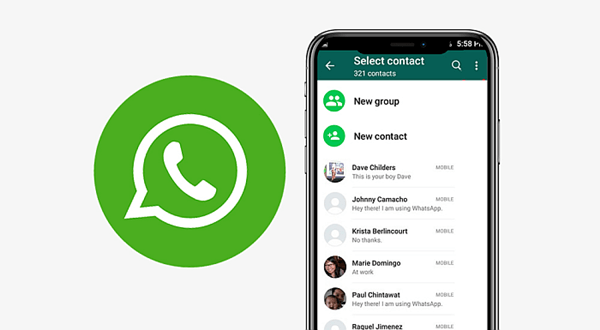 export whatsapp contacts