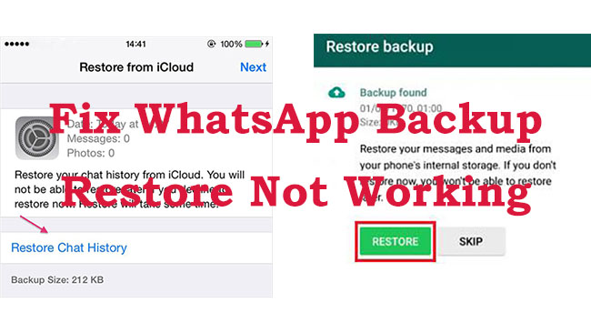 fix whatsapp backup restore not working