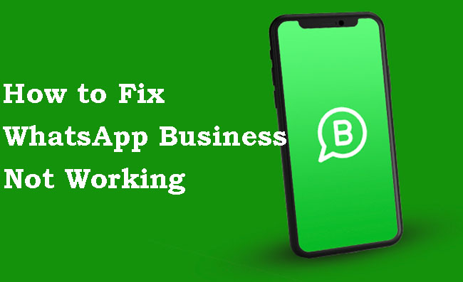 fix whatsapp business not working