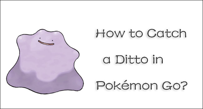 how to catch a ditto in pokemon go