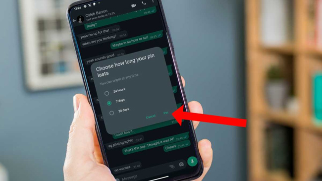 how to pin chats on whatsapp