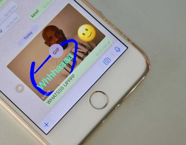 how to send gif in whatsapp from iphone