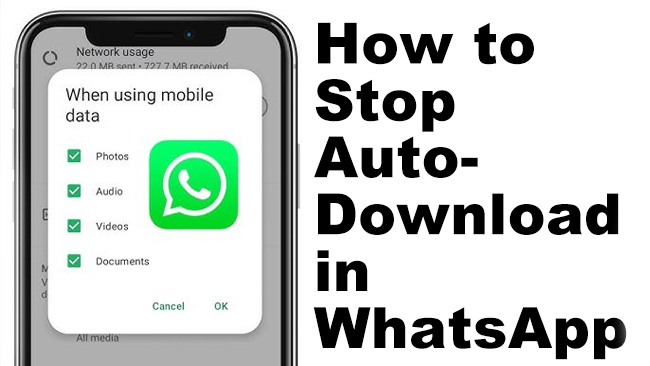 how to stop auto download on whatsapp