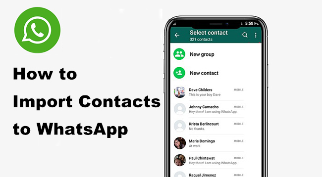 import contacts to whatsapp