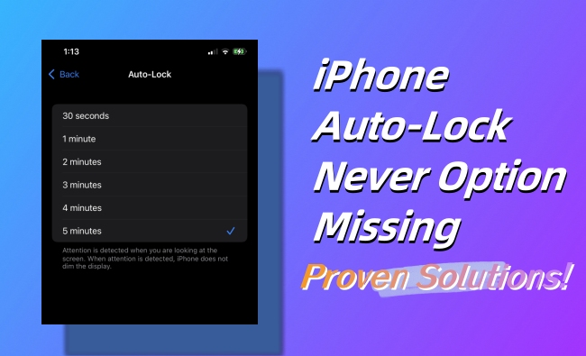 fix iphone auto lock no never option issue