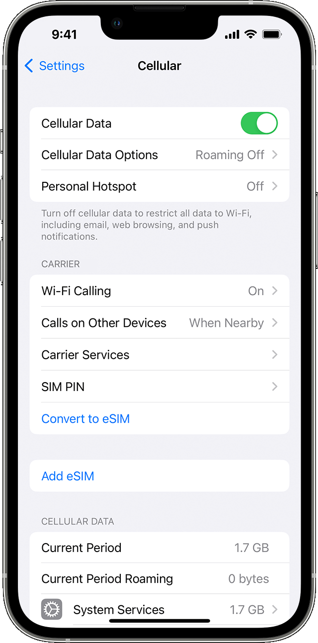 iphone cellular data settings