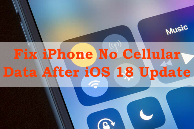 iphone no cellular data after ios 18 update