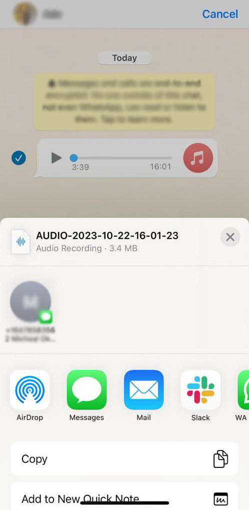 iphone whatsapp audio download email