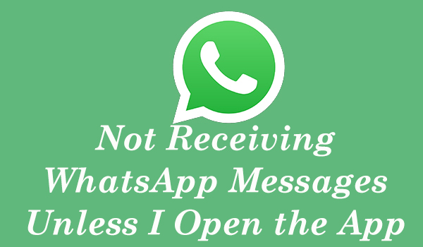 not receiving whatsapp messages