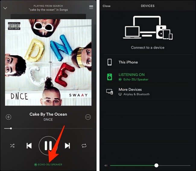 best pc audio player software spotify