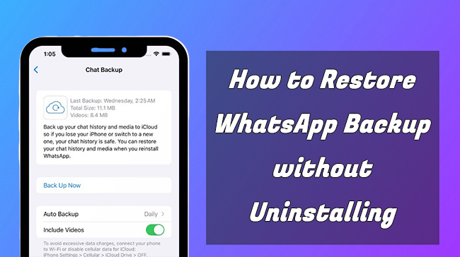 restore whatsapp backup without uninstalling