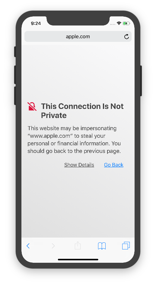 bypass your connection is not private in safari