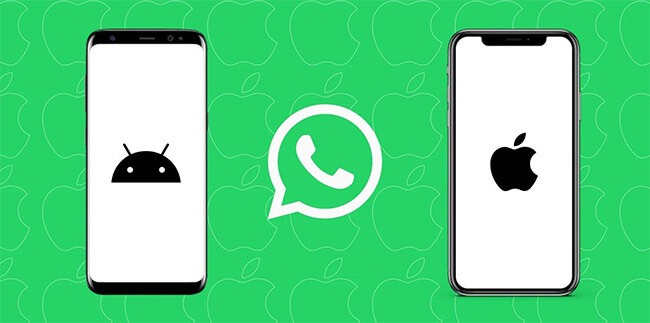 top ways to backup whatsapp messages