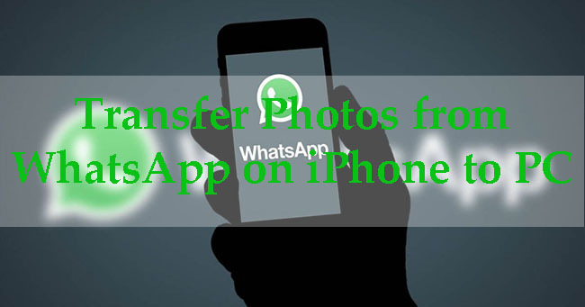 transfer whatsapp photos to pc
