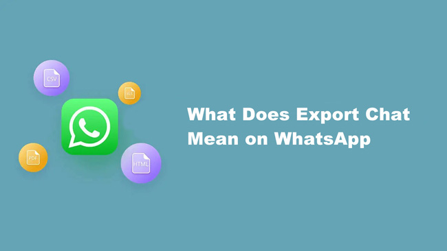 what does export mean on whatsapp