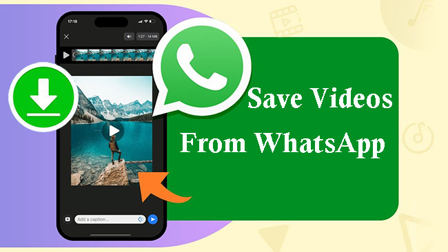 save videos from whatsapp