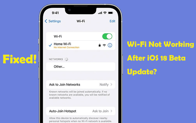 wifi not working after ios 18 update